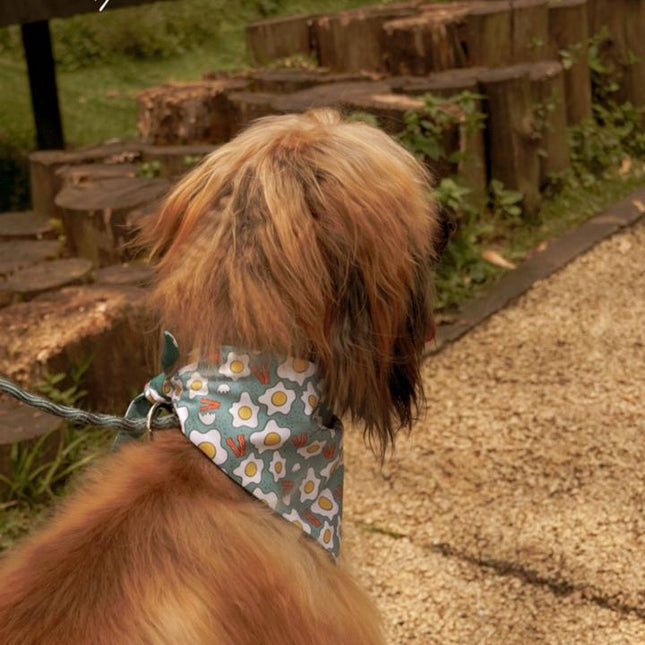 Pañoleta Huevos y Tocino