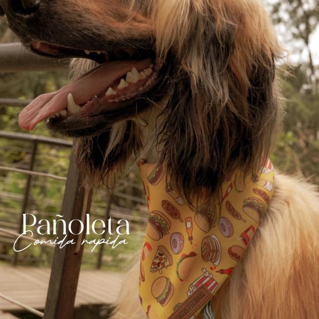 Pañoleta Fast Food