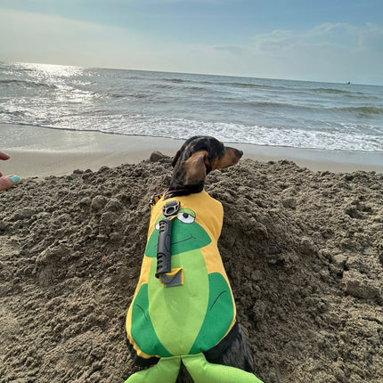 Chaleco salvavidas Sapo