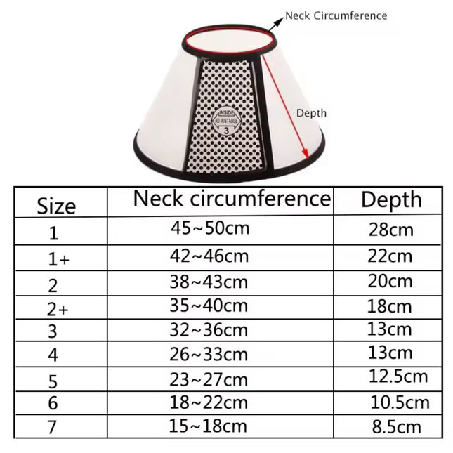 Collar isabelino Cono