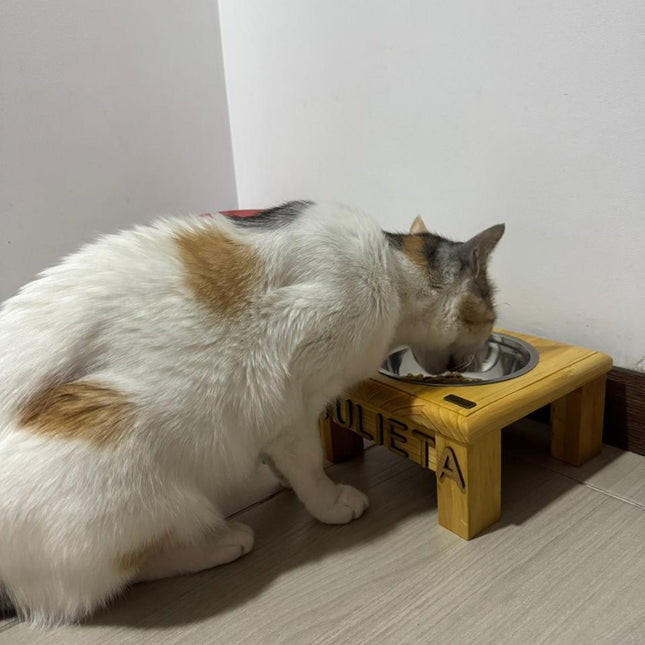 Individual recto gatuno