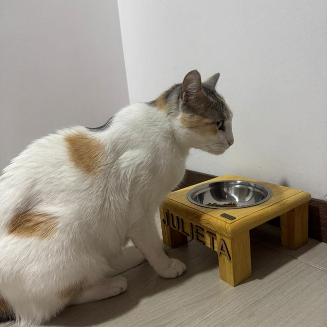 Individual recto gatuno