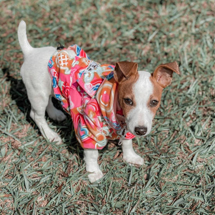 Chaquetas Rompevientos