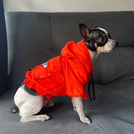 Chaquetas Rompevientos