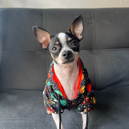 Chaquetas Rompevientos