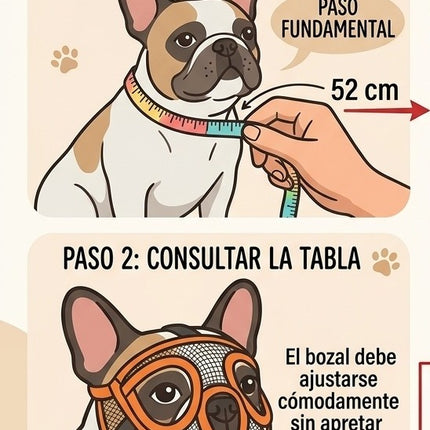Bozal Braquicéfalo