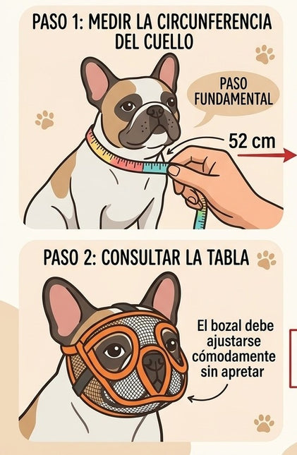 Bozal Braquicéfalo