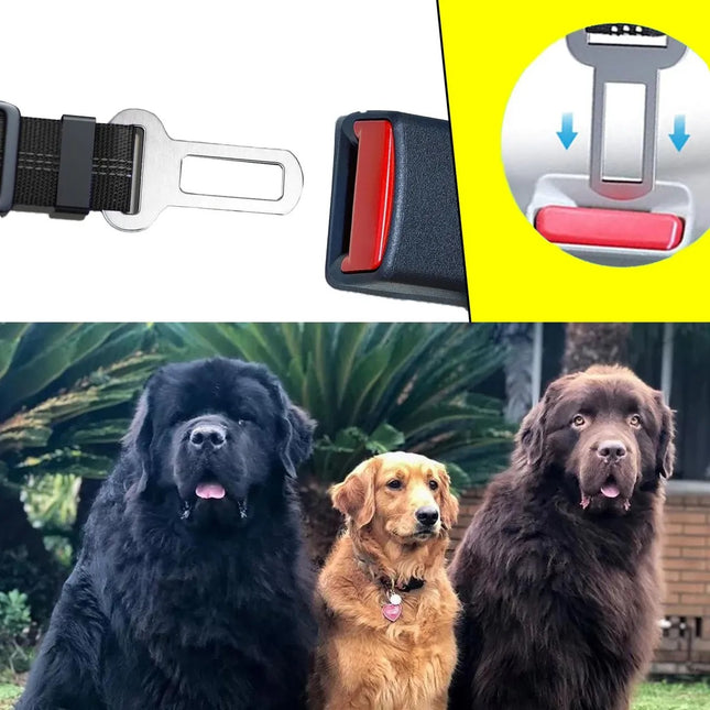 Broche cinturón Luxe