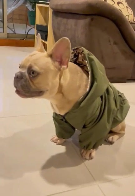 Chaquetas Rompevientos